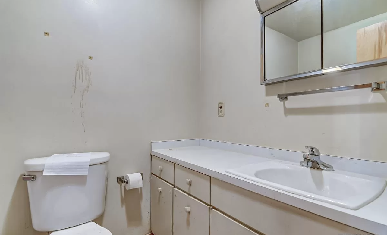 Blackhawk guest bathroom before